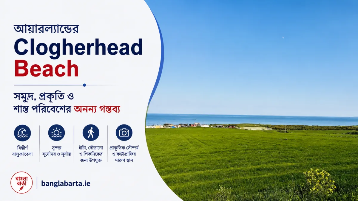 আয়ারল্যান্ডের Clogherhead Beach, সমুদ্র, প্রকৃতি ও শান্ত পরিবেশের অনন্য গন্তব্য
