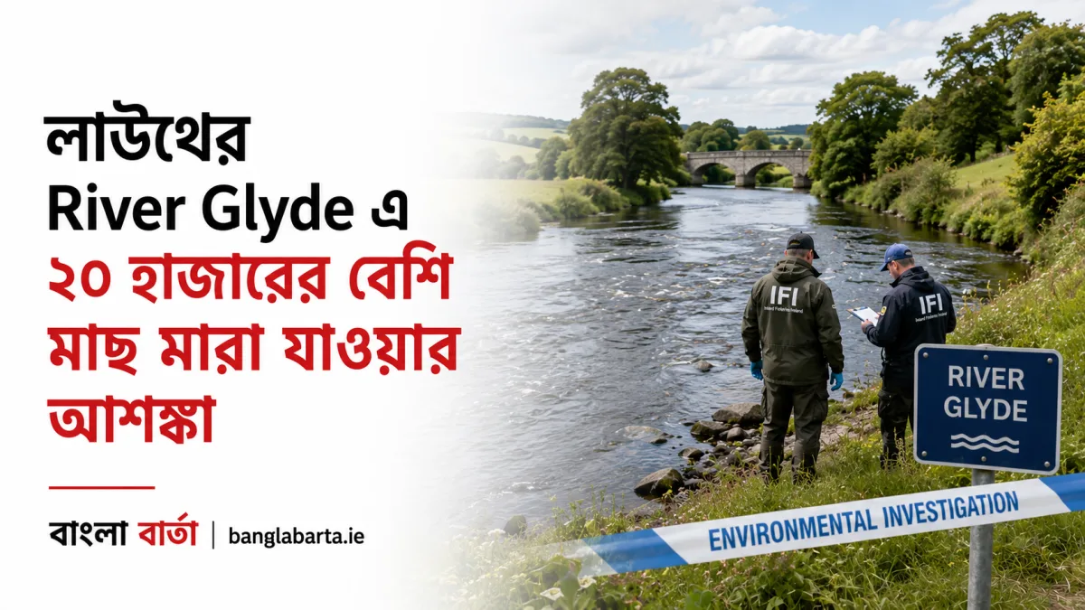 লাউথের River Glyde এ ২০ হাজারের বেশি মাছ মারা যাওয়ার আশঙ্কা