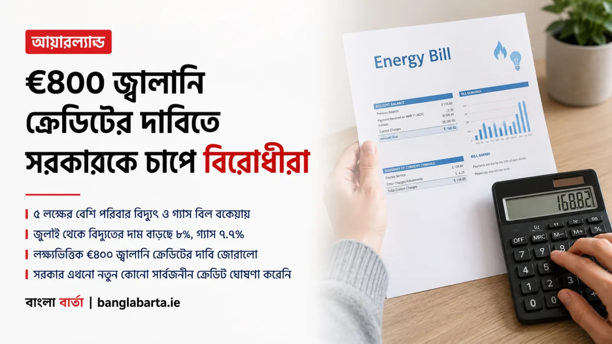 জ্বালানি বিলের বাড়তি চাপ মোকাবিলায় €৪০০ ক্রেডিটের দাবিতে সরকারকে চাপে বিরোধীরা