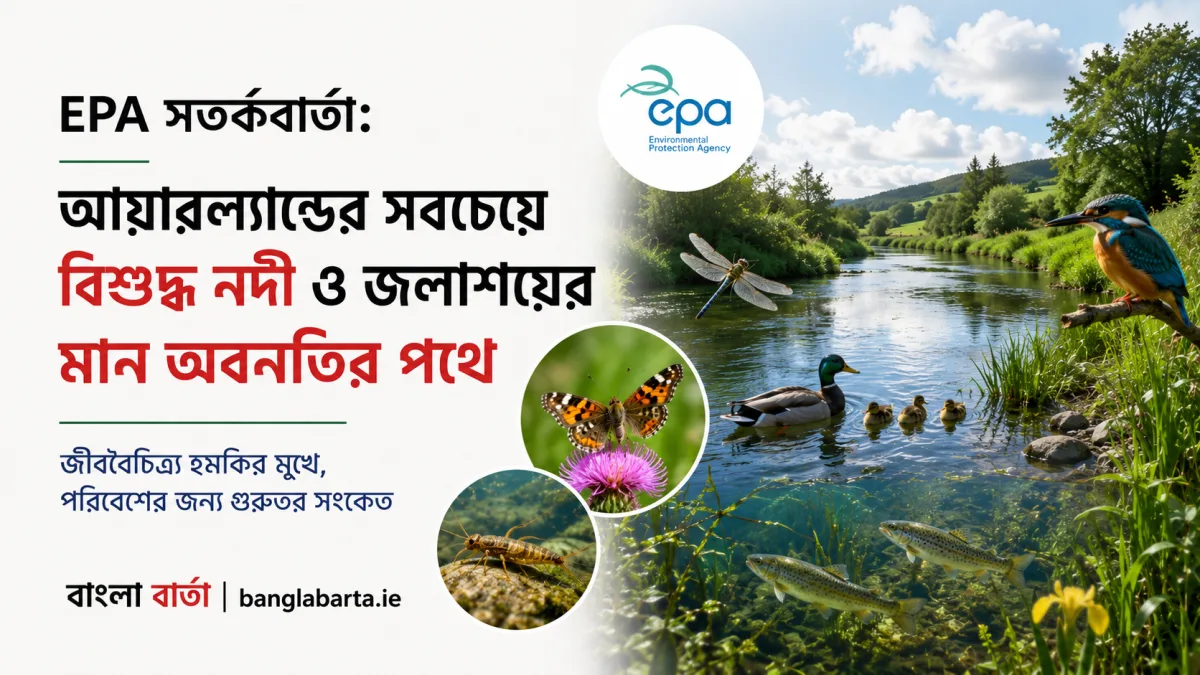 EPA সতর্কবার্তাঃ আয়ারল্যান্ডের সবচেয়ে বিশুদ্ধ নদী ও জলাশয়ের মান অবনতির পথে