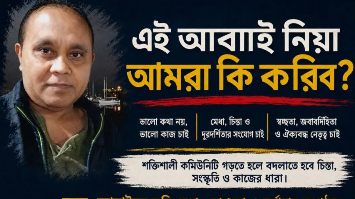 এই আবাই নিয়া আমরা কি করিব?